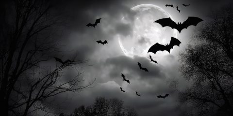 ۷쵴ϡְפʤΤ夵ɤࡢإɥ饭١NHK100ʬde̾