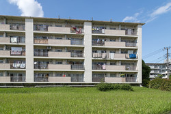 ��UR���ԱĽ���ϻ��Ȥߤ������㤦�פ�ͧ�ͤ���ʹ���ޤ���������Ǥ������ǯ���δ��Ϥɤ��㤦�Ρ�