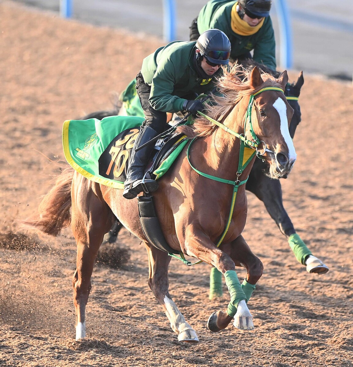 　イッテラッシャイ