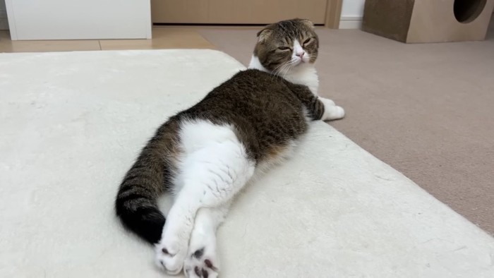 abf43_1847_58236d44191b9a28f23