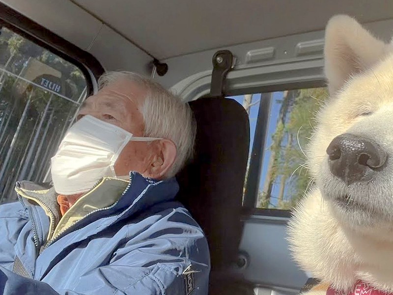 おじいちゃんと散歩を楽しんだ老犬の姿が反響を呼ぶ「本当にいいコンビ」