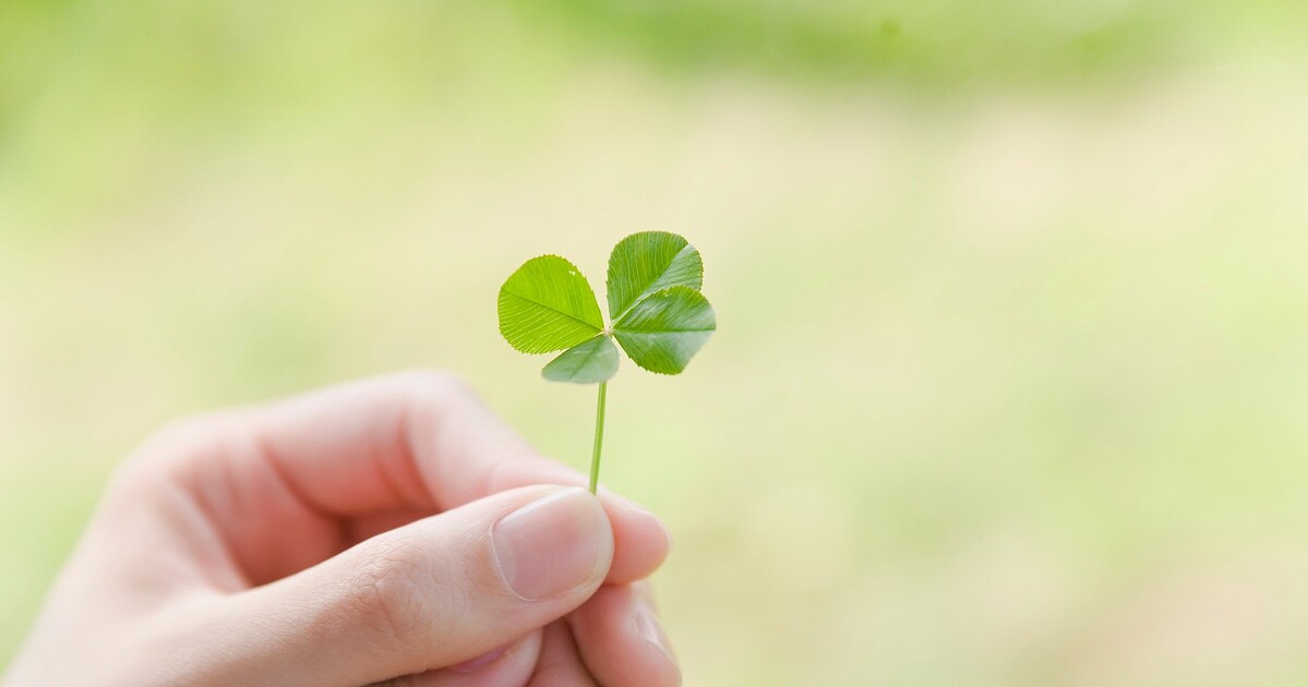 写真はイメージです　Photo:PIXTA