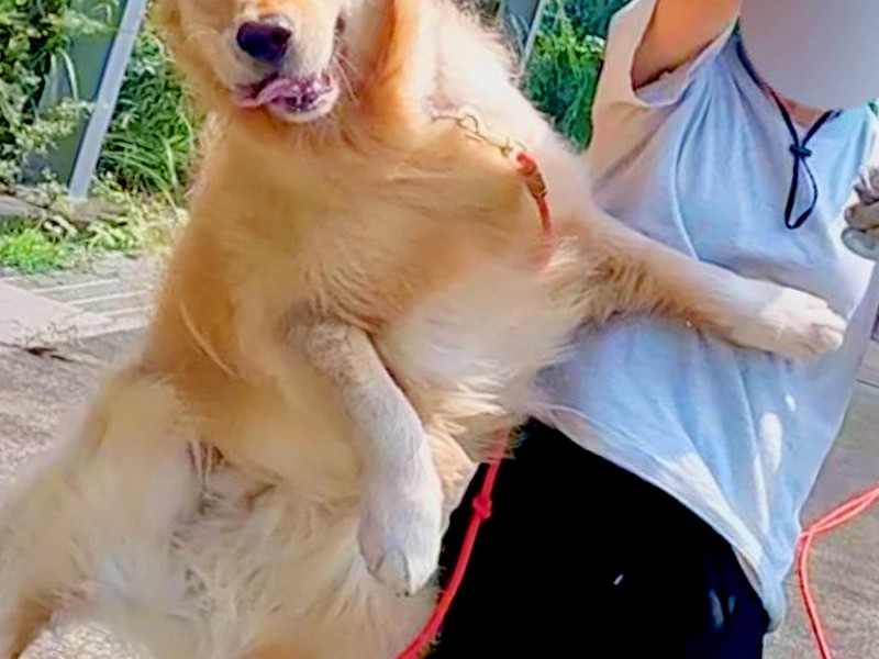 ǥȥСμ̿򻣱 פ鷺дˤʤưդ