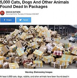 ưʪ���񤷤�Ȣ�ǰ�졢����������ʪή���󥿡��ʲ����ϡ�LADbible��2020ǯ10��1���ա�5,000 Cats, Dogs And Other Animals Found Dead In Packages�ס٤Υ����꡼�󥷥�åȡ�