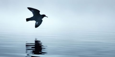 「哲学する」のは何のため？──戸谷洋志さんと読む、ヤスパース『哲学入門』#1【NHK100分de名著】