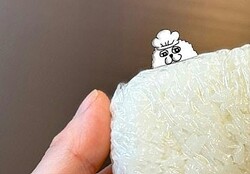 18万いいね！冷凍ごはんの解凍が劇的に早くなるプロの小技に「いいこと聞いた」「覚えておく」【ママリ】