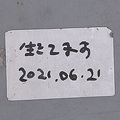 「生きてます」京都市内に謎の落書きが43カ所 SOSの可能性も?