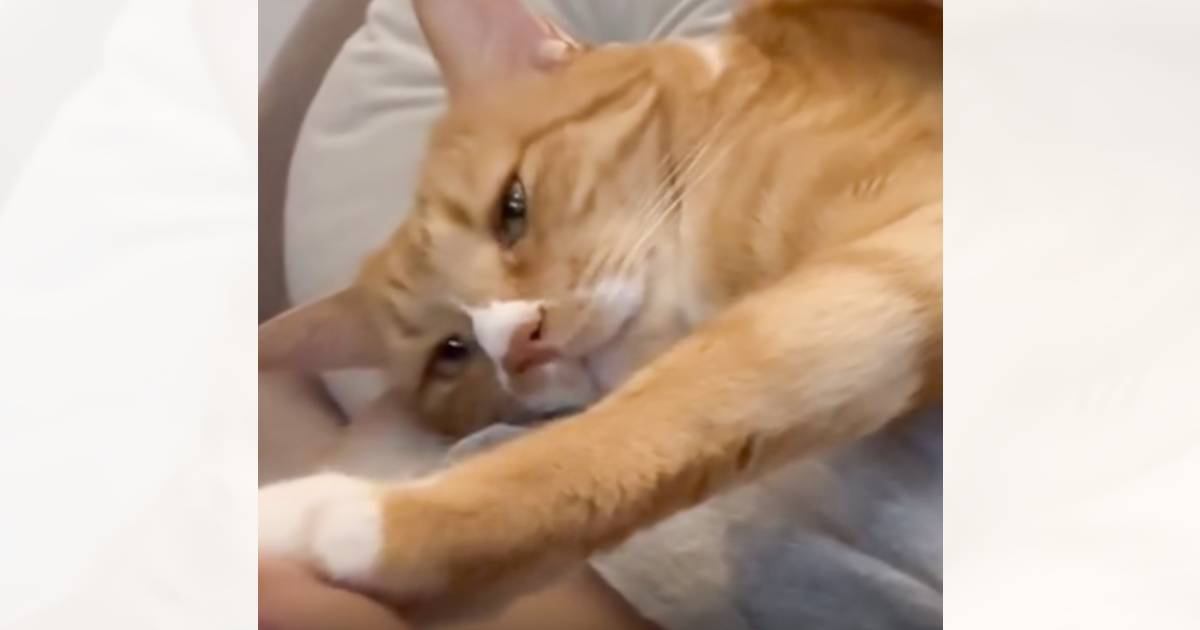 ˴źǭδŤ˷֤꤬SNS֤äİ