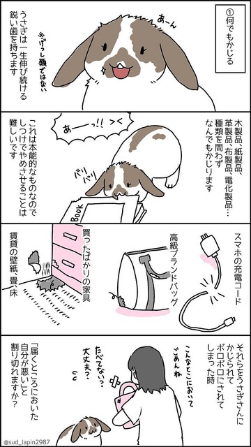 ちょっと待って!】「うさぎを飼う前に知っておいてほしいこと」漫画に