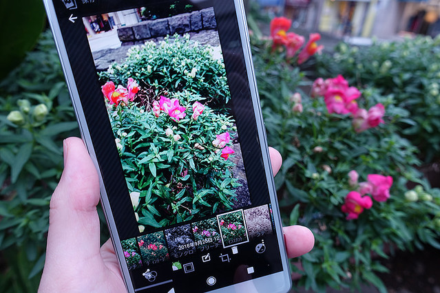 Xperia�Ρ֥���Х�פ���������Խ��������Ȥ��롩��Xperia Tips