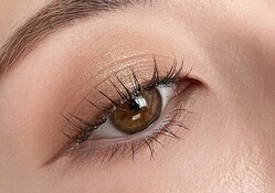  Ϸ�������θ����ϥ��졪��������ɥ������������ɤ�����ľ�������� 