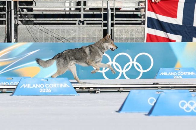 クロスカントリースキー女子団体スプリントフリーで珍事発生【写真：Action Press/アフロ】