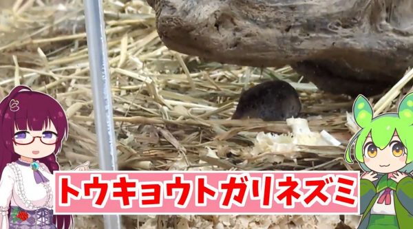 ǴˤꤵƤȥͥ 14̤äƻƤ