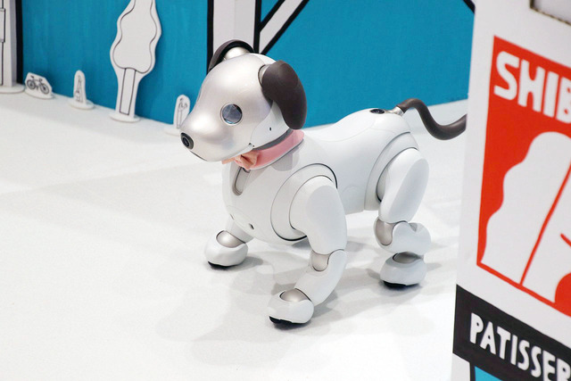 ���Τ��ޤ�ꤵ��ȶ��˽�ë�γ���ѥȥ����롪���ˡ����θ������٥�ȡ�Shibuya Town with aibo�׳�����