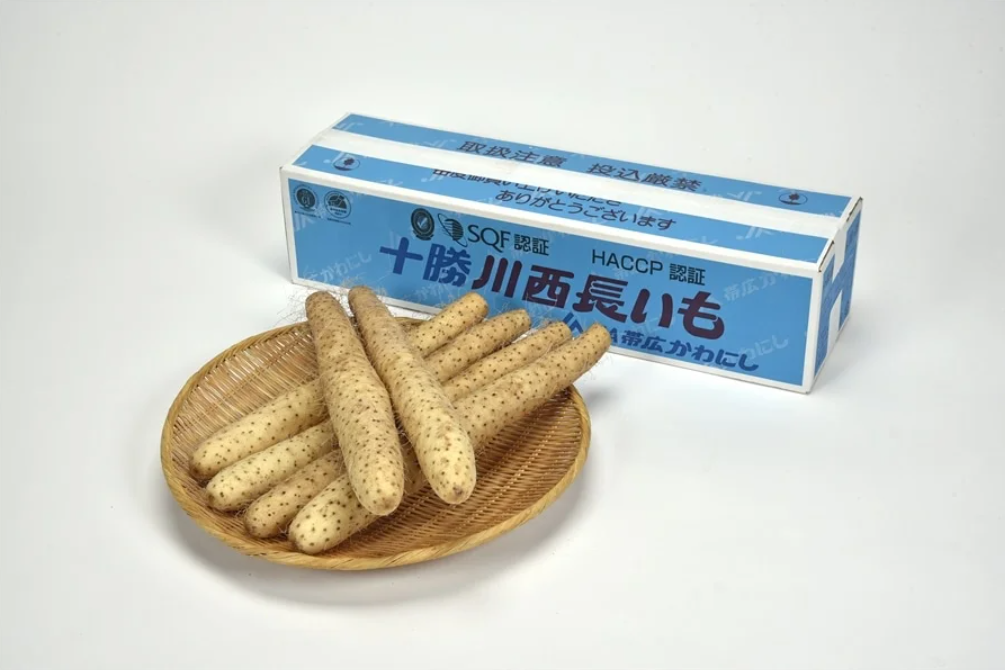 川西長いも