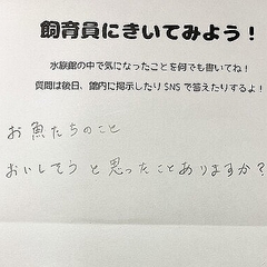 Dwmjgvlkmpjmfm Dwmjgvlkmpjmfm