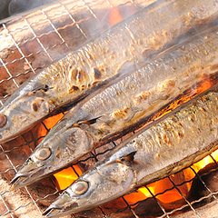 さかなクンに聞きました サンマの内臓がおいしい理由は ライブドアニュース さかなクンに聞きました サンマの内臓がおいしい理由は ライブドアニュース