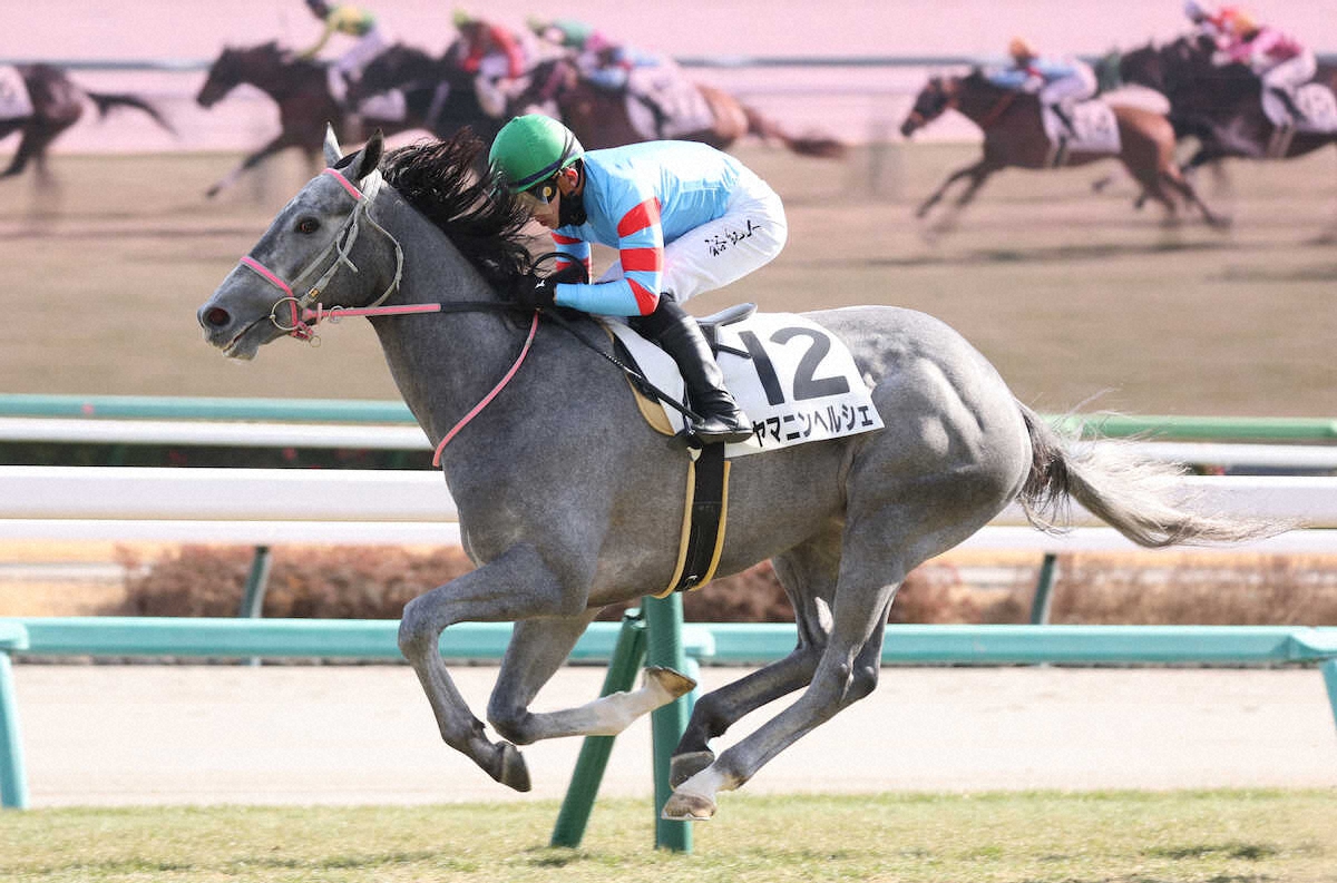 中山5R】新馬戦史上最高配当！16→15→3番人気決着で馬連31万8830円、馬単76万7110円 (2026年1月25日掲載) - ライブドアニュース