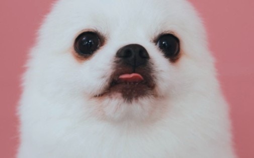 ץΥޥ⺤ǡħŪʼİ24͡ˡġס֤狼߿סڥޥޥ