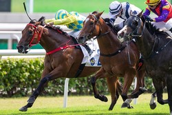 �ڵ��Ե�ǰ����Ƭ���ǡ�WIN5�оݥ�ー��������ޤߡ���3.0.0.0�׳����Ϥˡȥ�����̯̣�����