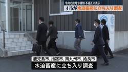 ����������ƥ��