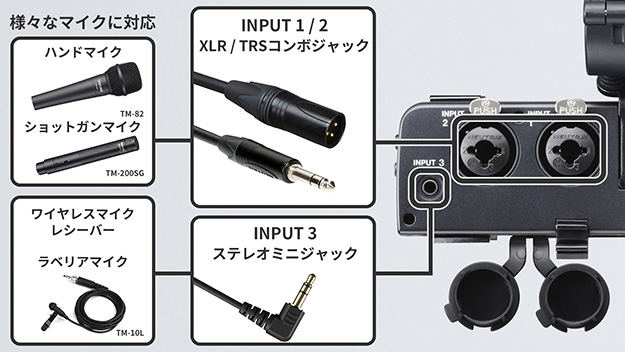 TASCAM(タスカム) CA-XLR2d-F ミラーレスカメラ対応XLRマイク