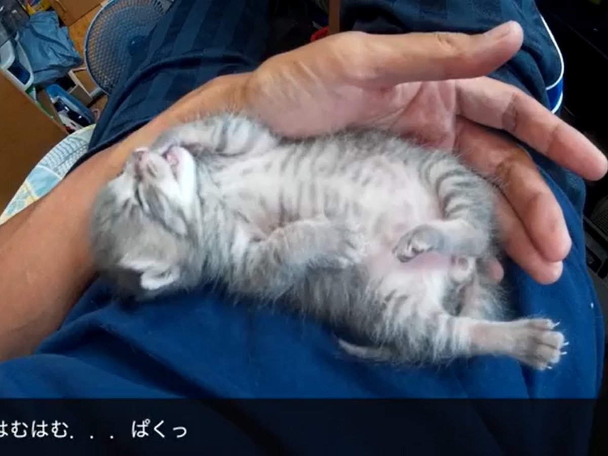 ���å������Ƥ�͡�