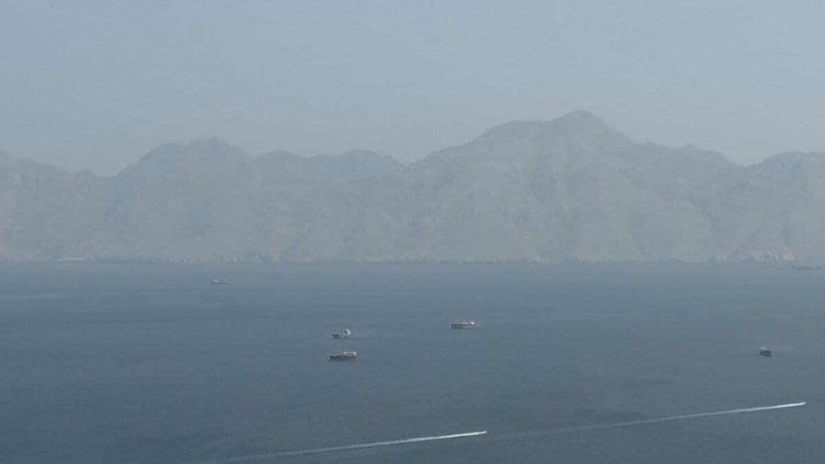 TBS NEWS DIG Powered by JNN