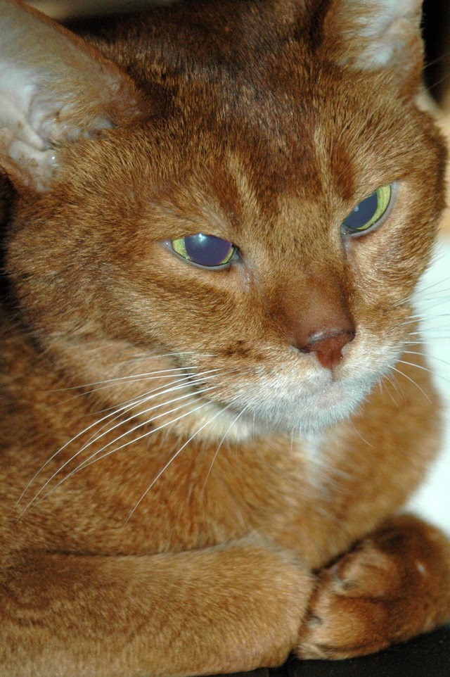 ǭ13ǯ֤˻ȺƲ񡡢̿ϥーǤ