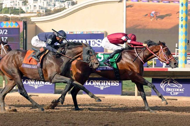 昨年の米BCクラシックを制したフォーエバーヤング（右）【写真：スポーツ報知/アフロ】