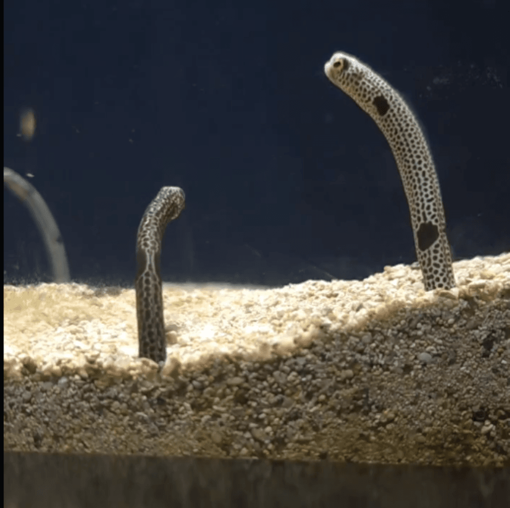 アレ?喧嘩の途中に急に不安そうな顔