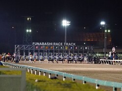 �������Ͼ�