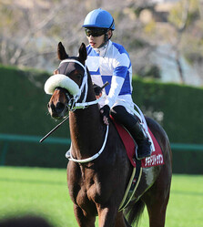 �����ɥ�ȥå���