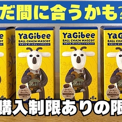 �ֽ���������ڤ�Ƥ��ޤ������¨�㤤ɬ��ο������ƥࡪ����ǥ�����ե����奢����