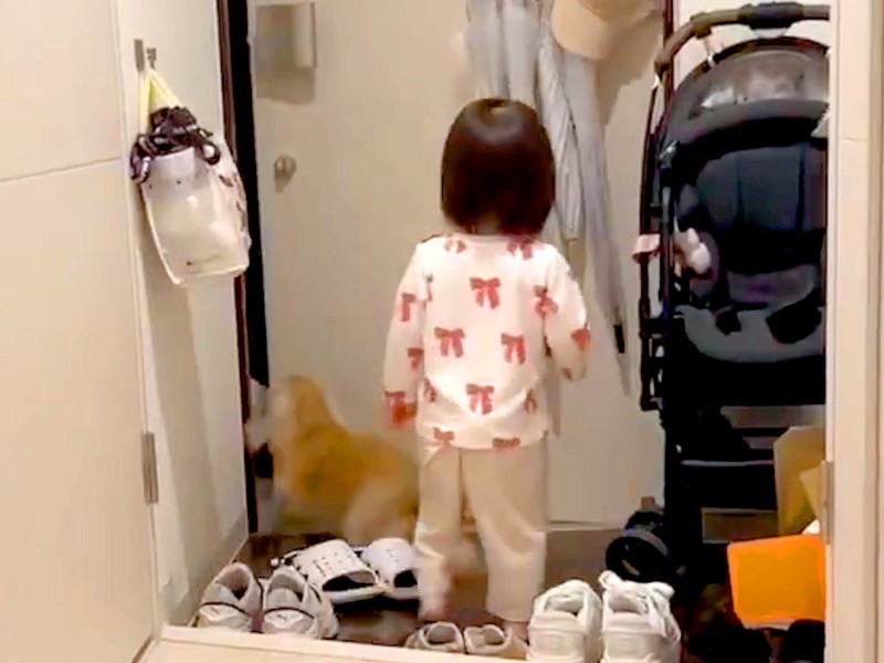 �ѥѤ�������ĥ���鵢�𢪾�����̼�ȸ������ؤ��ԤäƤ��ơ�º����������ϤΤ�������ʤ����٤�647��ɽ���ֹ��������ס�ʿ�¤ǲİ����פ���