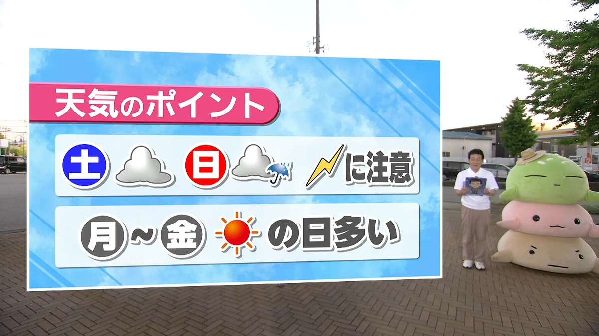 テレビ金沢NEWS