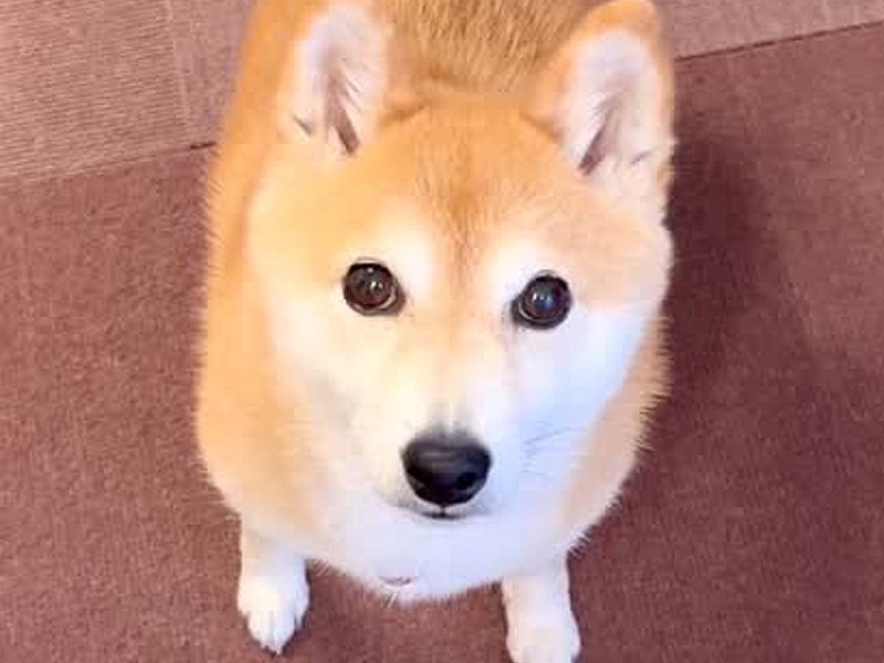 画像が削除されました