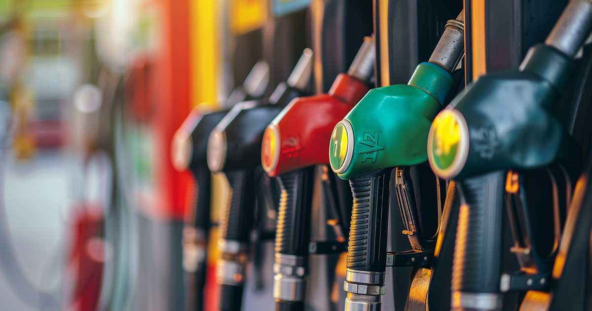 「まずメガソーラーなくせ」河野太郎氏のガソリン減税反対論に3つの反論