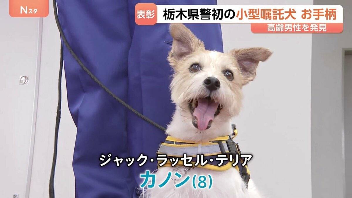 警察犬が迷った男性発見 表彰
