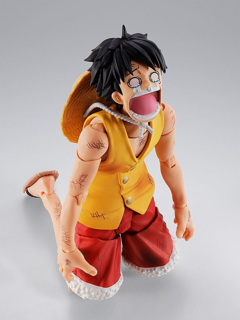 ワンピース LUFFY's 冒険の記憶 マリンフォード頂上戦争編 2点ばら売り可 ワンピース LUFFY's 冒険の記憶 マリンフォード頂上戦争編 2点