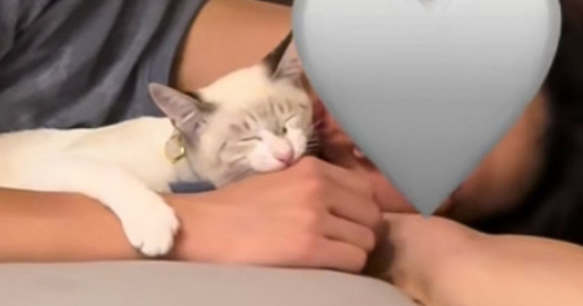 Èà»á¤ÎÁ°¤Ç¤ÏÎø¤¹¤ë²µ½÷ ¤¢¤Þ¤ê¤ÎϪ¹ü¤ÊÂÖÅÙ¤ÎÊѲ½¤ËÈ¿¶Á