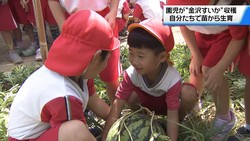 テレビ金沢NEWS