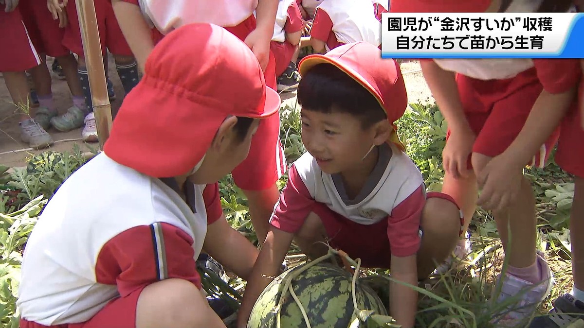 テレビ金沢NEWS