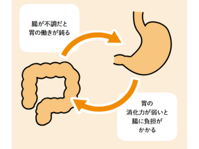 「腸活」だけじゃ足りない？ これからは「胃活」が健康のカギ【眠れなくなるほど面白い 図解 胃と腸の話】