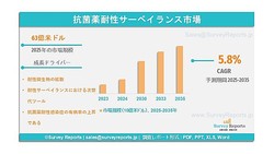  ������������ー�٥���󥹻Ծ��2035ǯ�ޤǤ�113���ƥɥ����ã�����ͽ¬ | ǯʿ����ĹΨ��CAGR�ˤ�5.8��Ǥ��롣 