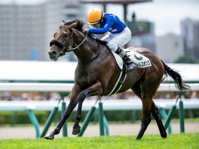 ���󥶥�ǰ�˽���ͽ��Υ��������쥹�ݥ�(���ơ��������)