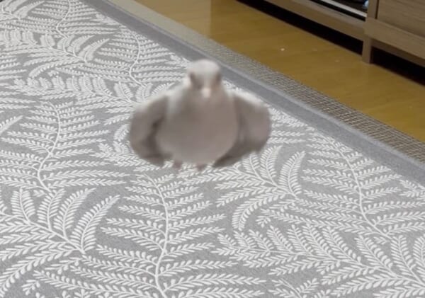 ����Хåååá����������˸����äư�ľ���ȥߥ�����ɤȲ�����ȷ��4��������