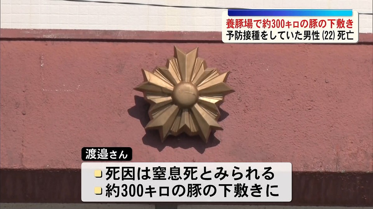 鹿児島読売テレビ