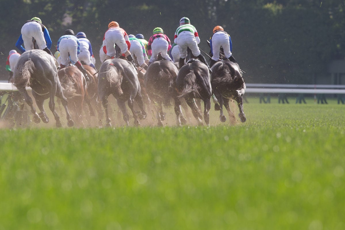 【ヴィクトリアマイル/馬場情報】Bコース替わりの東京はフラットな状態 超高速決着で浮上する前日“8人気”以下の爆穴3頭