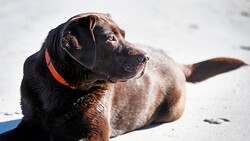 �������ʥ롢�ǿ��䶯�Ϥʤ�ȡȸ��ɡ���֥�ɡ��롦��ȥ�С���Win��������줿��ͳ�򥢥�ƥ����Ĥ�����